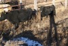 4 Black Cows, 1410 lbs average - 3